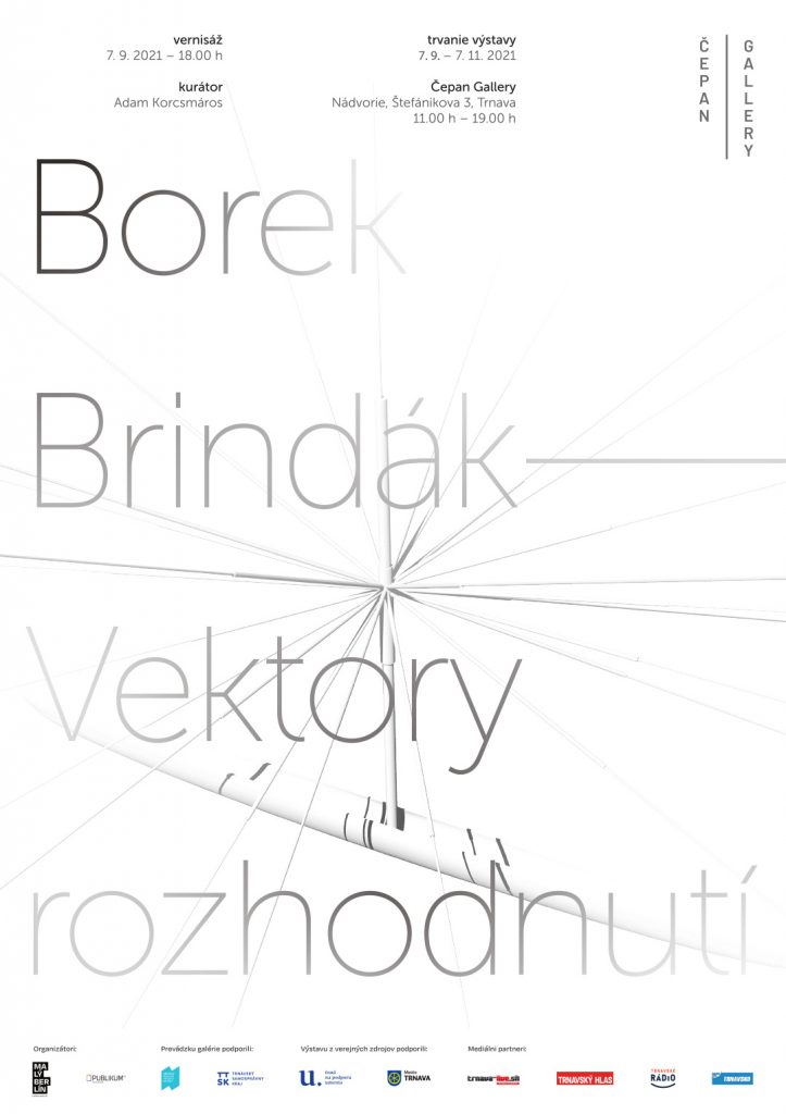 Borek Brindák: Vektory rozhodnutí: plagát